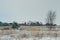 View village among the field and forest in winter. Winter landscape with cozy cottages in the countryside