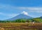 a view in a village with one of the highest mountains in Java.