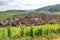 View of the village of Riquewihr located in France