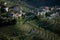 View of the village and vineyards of the Douro Valley, Portugal.