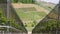 View through vine vineyard plantation in Durbach, Germany