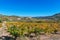 View of the vineyard on the background of a mountain landscape, Siurana, Tarragona, Catalunya, Spain. Copy space for text