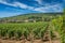 View of in the vineyard in Burgundy Bourgogne home of pinot noir and chardonnay in summer day with blue sky. Cote d`Or