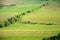 View of a vineyard in the Palava region of South Moravia