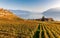 View on the vineyard terraces in Lavaux, Geneva Lake and Alps Mountains