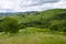 View of vineyard and village