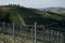 View of the vineyards around Barolo and Alba