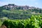 View on vineyards around Sancerre wine making village, rows of sauvignon blanc grapes on hills with different soils, Cher, Loire