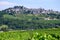View on vineyards around Sancerre wine making village, rows of sauvignon blanc grapes on hills with different soils, Cher, Loire