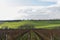 View of vineyards and farms in the Svatoborice region of Moravian Tuscany during a sunny autumn day in the background blue sky