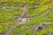 View of vineyards, grapes, cottages and transport rails along river