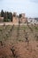 View on vineyards on hill and medieval fortress Alhambra in Granada, Andalusia, Spain