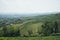View of the vineyards near La Morra, Piedmont