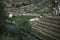 A view of the vineyards near the town of Pinhao, Douro Valley in Portugal.