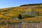 View of the vineyards in Varnhalt near Baden Baden_Baden Wuerttemberg, Germany