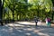 View of visitors walking along the Mall. A walkway, lined with magnificent elms, running through