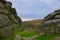 View from Vixen Tor Dartmoor