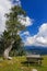 View of the Vogel mountain in Slovenian Alps