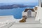 View of volcano caldera with stairs, Santorini