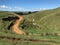 View of Waikato farmland