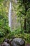 View of the Waimoku Falls