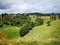 View of Waitomo valley in summer bush walk