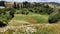 View of Waitomo valley in summer with wild flowers