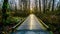 View of a walk bridge on Brea Island, British Columbia, Canada