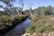 View from the walk path along the Leschenault Estuary Bunbury Western Australia .