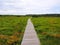 View of walking platform in the Ardennes