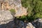 View  from the walls of the ruins of the Monfort fortress to the adjacent forested gorge in northern Israel