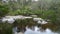 View of the Walpole River Western Australia in autumn.