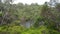 View of the Walpole River Western Australia in autumn.