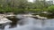 View of the Walpole River Western Australia in autumn.