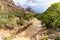 View of The Watchman rock formation along the Virgin River in Utahâ€™s Zion National Park