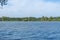 View of water lake, aquatic vegetation and trees on other side at the banks, in Pateira de Fermentelos