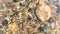 View through water of rocky seabed with shells in sunny weather Ripples on water