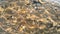 View through water of rocky seabed with shells in sunny weather Ripples on water