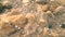 View through water of rocky seabed with shells in sunny weather ripples on water