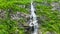 View of a waterfall flowing down the green-covered cliff in Frafjord