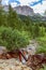 View of waterfall Pisciadu Cascate del PisciadÃ¹ and northern cliffs of Sella mountain group, Italian Dolomites, Corvara in