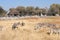 View at the waterhole at the Okaukeujo Rest Camp, Etosha National Park, Namibia