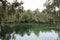 View of Waterway at Blue Springs State Park