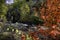 View of Waterwheel at Bracebridge Falls in Ontario, Canada