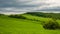 View of a wavy landscape with forest and hill in the background and cloudy sky