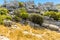 A view of weathered limestone horizontal bedding planes in the Karst landscape of El Torcal near to Antequera, Spain