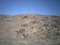 View of Welwitschia Mirabilis on near vertical cliff face