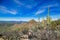 View from the western border of Saguaro National Park, Arizona, USA