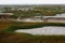 The view of the wetland in the winter