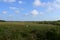 View of wetlands and sawgrass prairie from Anhinga Trail in Everglades.